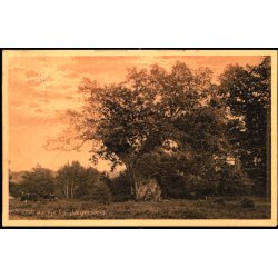 1000 aarige Eg. - Jgerspris - J.J. Ebbesen 13626 - Brugt