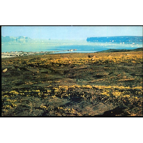 Summer Vegetation - Thule Air Base - Dexter Color 50387 - Brugt