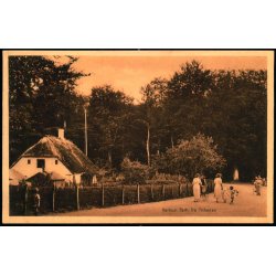 Aarhus - Parti fra Friheden - Stender 38647 - Ubrugt