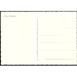 Kolding - Koldinghus - Rudolf Olsen 1125 - Ubrugt