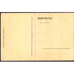 Aaparti i Skoven - Frederiksv�rk - A. Jensens Bogh. u/n - Ubrugt