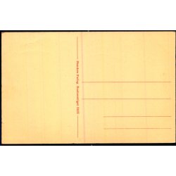 K�benhavn - Thorvaldsens Museum og Nicolai Taarn i Baggrunden - Stender 34135 - Ubrugt