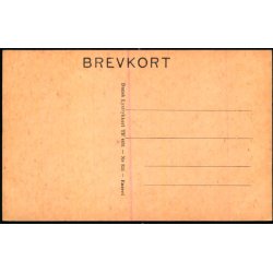 Frederiksberg Slot og Udsigtstaarnet - Dansk Lystrykkeri 855 - Ubrugt