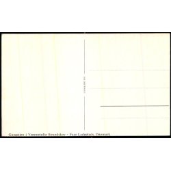 Gangstien i Vemmetofte Strandskov -  Faxe Ladeplads - Faxe Bogtryk u/n - Ubrugt