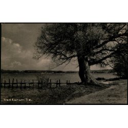 Ved Esrom S - Hj Madsen 94835