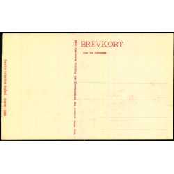 Skagen - Badehotellet -  Lauris Schjeldes Bogh. 5266 - Ubrugt