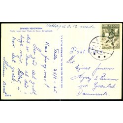 Summer Vegetation - Thule Air Base - Dexter Color 50387 - Brugt