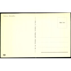 Aabenraa - Slotsmllen - Fotokort N. Andersens Bogh. 64 - Ubrugt