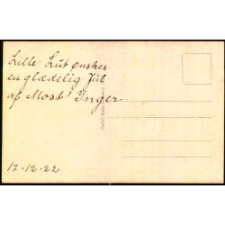 Nordborg - (Slot) -  C.C. Biehl 3529 - Ubrugt