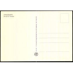 Spikergade - T�nder - A. Niemann 456 - Ubrugt