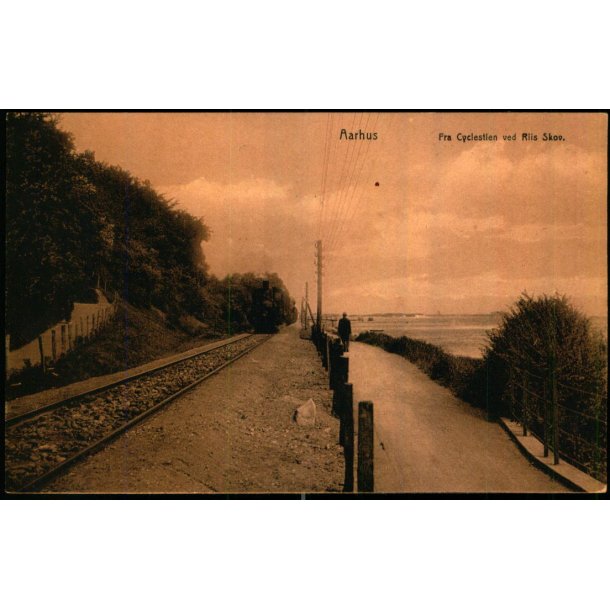 Aarhus - Fra Cyclestien ved Riis Skov - F. Rybner Petersens Bogh. 90 - Ubrugt