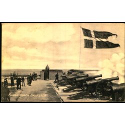 Flagbatteriet saluterer - Dannavirke 257 - Ubrugt