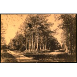 Ved de fire veje i Tisvilde Hegn - S. Nielsen 43713 - Ubrugt