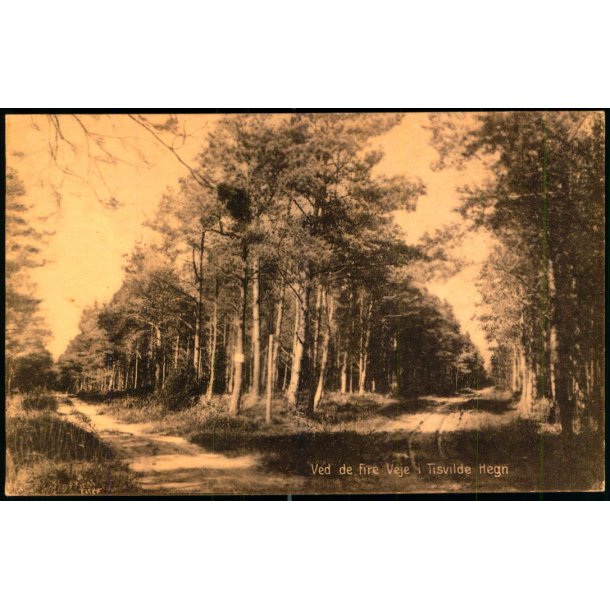 Ved de fire veje i Tisvilde Hegn - S. Nielsen 43713 - Ubrugt