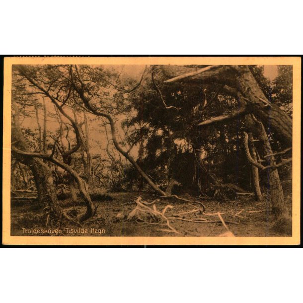 Troldeskoven - Tisvilde Hegn - A. Jensens Bogh. 1275 - Brugt