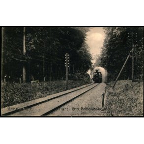 Nyk�bing F. - Parti fra Kohaveskoven -  Stender 12444 - Brugt