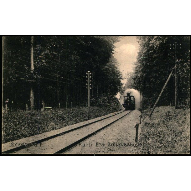 Nyk�bing F. - Parti fra Kohaveskoven -  Stender 12444 - Brugt