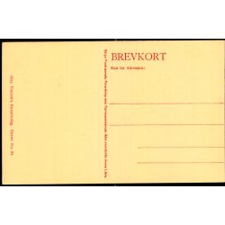 C. Bayer - Rosenborg-Mllens Brand (Vinteren 1850 ) Alex Vincent 20