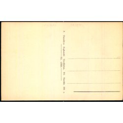 Tisvildeleje - Pension Tisvildeleje - Thunebyens Bogh. 13508 - Ubrugt