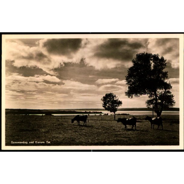 Sommerdag ved Esrom S - Kai Brammers Bogh. u/n 