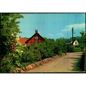 Parti fra Hornb�k - Stender 49 121/3 - Ubrugt