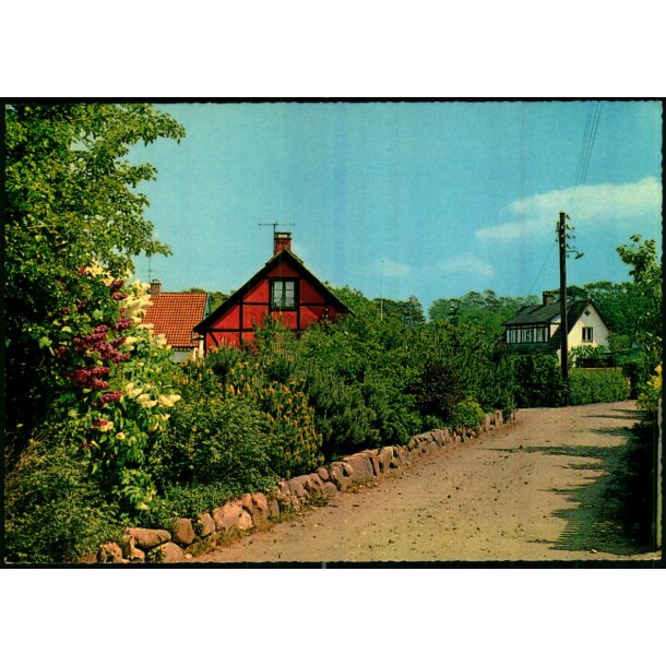 Parti fra Hornb�k - Stender 49 121/3 - Ubrugt