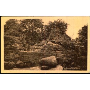 Gurre Slots Ruiner - L. Hansen 64981 - Ubrugt