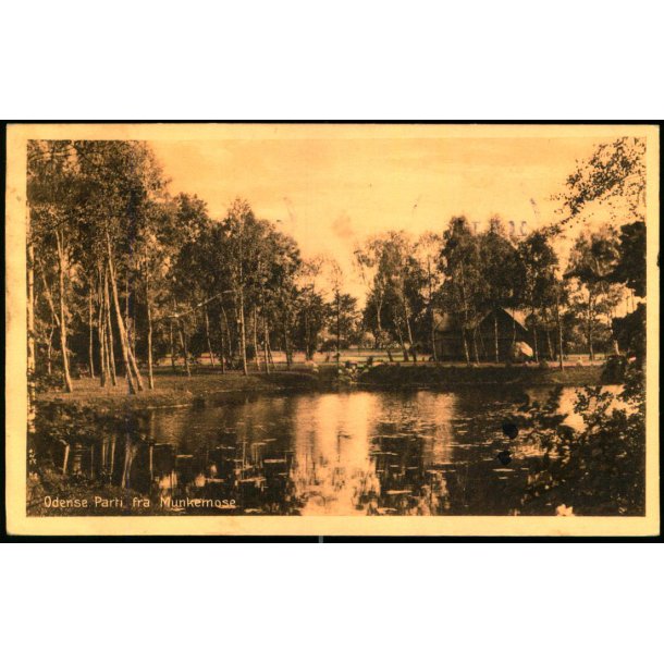 Odense - Parti fra Munkemose - Stender 41475 - Brugt
