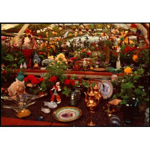 Drive in Gartneriet Ellegrden - O.P.O. 6846 - Ubrugt