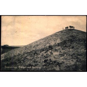 Svanninge Bjerge ved Faaborg - F.C. Alstr�ms Bogh. u/n - Brugt