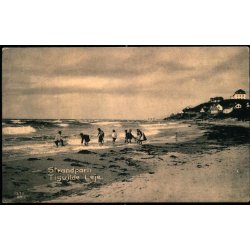 Strandparti - Tisvilde Leje - Albert Jensens Bogh. 127108 - Brugt