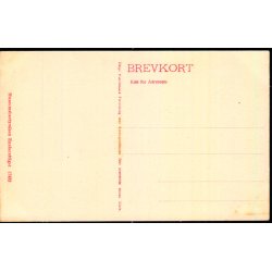 Kolding - Nedgangen til Svenskekjelderen - Museumsbestyrelsen 17432 - Ubrugt