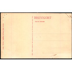 Det store Skred ved Bovbjerg 1909 - H. Riegels Bogh. 18111 - Ubrugt