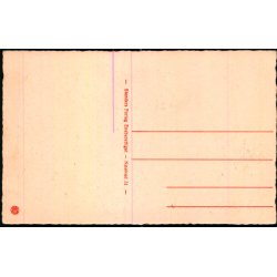 Nstved - Buegangen p Herlufsholm - Stender N. 51 - Ubrugt