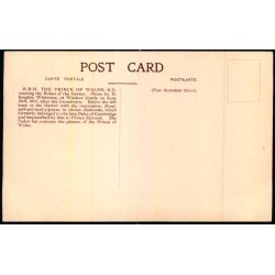 The Prince of Wales - Ubrugt