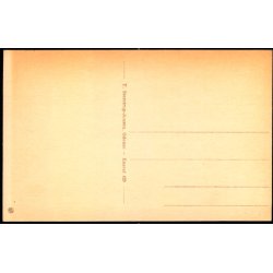 Odense - Parti fra Fisketorvet - T. Steenstrup-Jensen 429 - Ubrugt