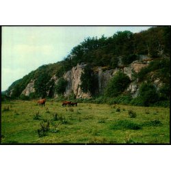 Bornholm - Almindingen - Ekkodalen - Gornetzka u/n - Ubrugt