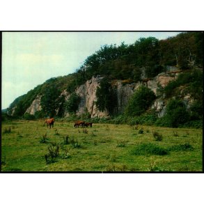 Bornholm - Almindingen - Ekkodalen - Gornetzka u/n - Ubrugt