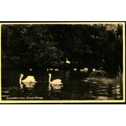 Svanedammen - Struer Anl�g - Kiosken 7 - Ubrugt