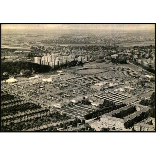 Dyrskuet p� Bellah�j  - Pro Senecetive 2 - Ubrugt