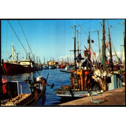 Hirtshals - Wadmanns  7733 - Brugt