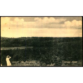 Udsigt fra Raabjerg - Tisvilde Hegn - A. Jensens Bogh. u/n - Ubrugt