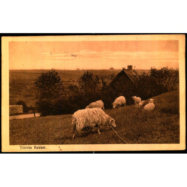 Tibirke Bakker - Alex Vincent 228 - Brugt