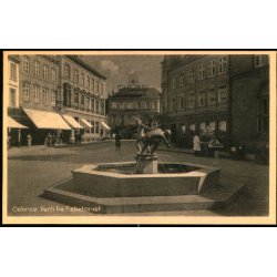 Odense - Parti fra Fisketorvet - T. Steenstrup-Jensen 429 - Ubrugt