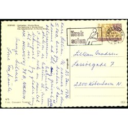 Odense - Havhesten i Munke Mose - Grako 4/5 - Brugt