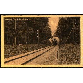 Nyk�bing F. - Parti fra Kohaveskoven -  Stender N.F. 9 - Ubrugt