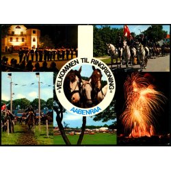 Aabenraa - Ringridderfest - Stender 149 816 066 - Brugt