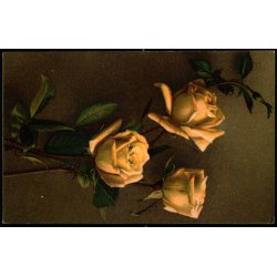 Feldpostkort - 29 - 12 - 1915