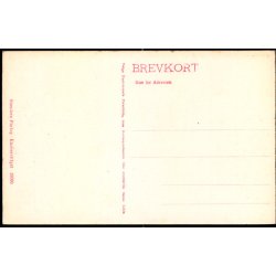 Odense - Den gamle Indgangsport til Bispegaarden - Stender 19090 - Ubrugt