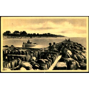 Liseleje - Beatrix 12143 -